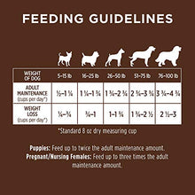 Load image into Gallery viewer, Instinct Be Natural Real Salmon &amp; Brown Rice Recipe Natural Dry Dog Food by Nature's Variety, 4.5 lb. Bag
