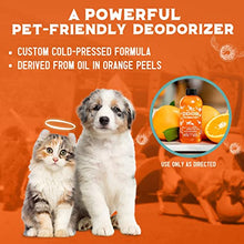 Load image into Gallery viewer, ANGRY ORANGE Pet Odor Eliminator for Home - 8oz Dog &amp; Cat Urine Smell Remover - Citrus Concentrate - Makes a Gallon (128 oz)
