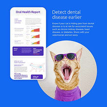 Load image into Gallery viewer, Basepaws Cat DNA Test | Breed + Health + Dental Report | Top Cat Breeds &amp; 115 Health &amp; Trait Markers | As Seen On Shark Tank
