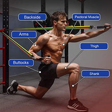 Load image into Gallery viewer, Liford Sport 11 Pack Exercise Resistance Bands with Handles Set,Workout Equipment for Women Men Home Gym, Home Workouts,Physical Therapy,Gym Training,Yoga
