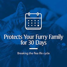 Load image into Gallery viewer, PetArmor Plus for Cats, Flea &amp; Tick Prevention for Cats (Over 1.5 lb), Includes 6 Month Supply of Topical Flea Treatments
