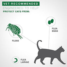 Load image into Gallery viewer, Advantage II 2-Dose Flea Prevention and Treatment for Large Cats, Over 9 Pounds
