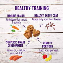 Load image into Gallery viewer, Wellness Puppy Bites Natural Grain Free Crunchy Puppy Treats, Chicken &amp; Carrots Recipe, 6-Ounce Bag

