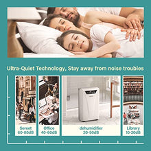 Load image into Gallery viewer, Kesnos 2500 Sq. Ft Dehumidifier for Home and Basements with Drain Hose, Water Tank, Timer, Auto Defrost

