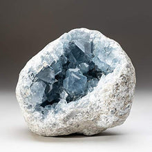 Load image into Gallery viewer, Astro Gallery of Gems Blue Celestite Cluster Geode from Sankoany, Ketsepy Mahajanga, Madagascar (5.8 lbs) - BC62
