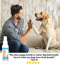 Load image into Gallery viewer, Dog Breath Freshener: Eliminate Bad Breath and Prevent Oral Disease in Dogs and Cats - Teeth Cleaning Spray with Aloe Vera - Plaque and Tartar Remover, Oral Hygiene for Pets (Net 4 FL OZ (118 ml)) x1
