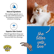 Load image into Gallery viewer, Dr. Elsey's Precious Cat Ultra Cat Litter, 18 pound bag
