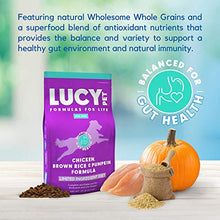 Load image into Gallery viewer, Lucy Pet Formulas for Life - Limited Ingredient Diet Dry Dog Food, All Breeds &amp; Life Stages - Chicken, Brown Rice &amp; Pumpkin
