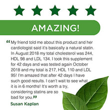 Load image into Gallery viewer, Cholesterol Health - with Flush-Free Niacin, CoQ10, Red Yeast Rice &amp; Garlic - Support Healthy Cholesterol Levels, Heart Health, and Blood Circulation - Emerald Labs - 90 Vegetable Capsules
