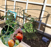 Load image into Gallery viewer, 10pack Garden Plant Support Stake 10" Wide x 16" High Half Round Metal Garden Plant Support Ring Border Support, Plant Support Ring Cage for RoseFlowers Vine Tomato with 20pack Plant Clips &amp;Plant Ties
