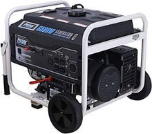 Load image into Gallery viewer, Pulsar PG6580E Portable Generator, Black&amp;White
