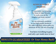 Load image into Gallery viewer, Pet Stain &amp; Odor Miracle - The Best Enzyme Cleaner for Dog Urine Cat Pee Feces Vomit, Enzymatic Solution Cleans Carpet Rug Car Upholstery Couch Mattress Furniture, Natural Eliminator (S/M 32FL OZ)

