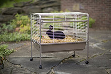 Load image into Gallery viewer, Prevue Hendryx 425 Pet Products Small Animal Cage with Stand, 32-Inch by 21-1/2-Inch by 33-1/2-Inch,Coco/White
