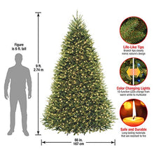 Load image into Gallery viewer, National Tree Company Dunhill Fir Artificial Tree, 9 Ft, Dual Colored Lights
