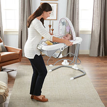 Load image into Gallery viewer, Graco Duet Sway LX Swing with Portable Bouncer, Camila
