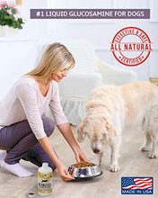 Load image into Gallery viewer, K9 Joint Relief: Glucosamine for Dogs, Liquid Joint Supplement with Chondroitin and MSM, Pain Relief for Arthritis, Hip Dysplasia, Aging, Etc., 32 Ounce
