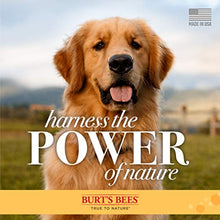 Load image into Gallery viewer, Burt's Bees for Dogs Natural Itch Soothing Spray with Honeysuckle | Best Anti-Itch Spray for Dogs With Itchy Skin | Cruelty Free, Sulfate &amp; Paraben Free, pH Balanced for Dogs - Made in the USA, 10 Oz
