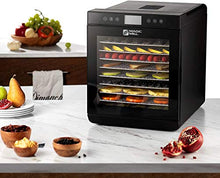 Load image into Gallery viewer, Magic Mill Food Dehydrator Machine (10 Stainless Steel Trays) Digital Adjustable Timer | Temperature Control | Keep Warm Function | Dryer for Jerky, Herb, Meat, Beef, Fruit and To Dry Vegetables
