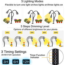 Load image into Gallery viewer, CWH&amp;WEN Plant Grow Light, Grow Lamp Full Spectrum with Auto ON &amp;Off Timer 3/9/12H for Indoor Plants, 3 Heads Grow Bulbs, USB+AC Adapter for Seedlings and Succulents
