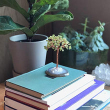 Load image into Gallery viewer, KALIFANO Natural Mini Peridot (100+ Gemstone Count!) Chakra Crystal Tree with Brazilian Agate Base - Bonsai Feng Shui Money Tree for Stress Relief and Inner Growth
