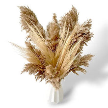 Load image into Gallery viewer, Dried Pampas Grass Decor - 40 Pcs Natural Pompas Floral/ Dried Pompous Grass Boho Plant for Flower Arrangements Wedding Home Decor(30 Pcs Brown Pampas Grass &amp; 10 Pcs Beige Pampas Grass)
