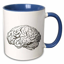 Load image into Gallery viewer, 3dRose Brain Two Tone Blue Mug, 1 Count (Pack of 1), Multicolor
