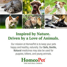 Load image into Gallery viewer, HomeoPet UTI Plus Urinary Tract Infection, Urinary Tract Support for Cats, 15 Milliliters
