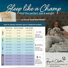 Load image into Gallery viewer, Quility Premium Adult Weighted Blanket &amp; Removable Cover - 20 lbs - 60"x80" - for Individual Between 190-240 lbs - Full Size Bed - Premium Glass Beads - Cotton/Minky - Grey/Navy Blue Color
