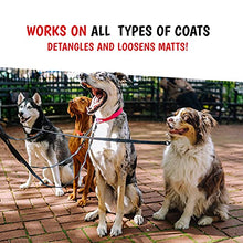 Load image into Gallery viewer, Warren London - 10-in-1 After Bath Dog Spray, Dog Leave in Conditioner and Detangler Spray, Pet Grooming Spray with Aloe Vera, Silk Amino Acids and Green Tea Extract - 4oz
