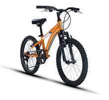 Load image into Gallery viewer, Diamondback Bicycles Cobra 20 Youth 20" Wheel Mountain Bike, Orange
