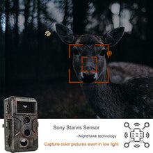 Load image into Gallery viewer, 2-Pack No Glow Game &amp; Deer Trail Cameras 24MP 1296P H.264 Video 100ft Night Vision Motion Activated 0.1S Trigger Speed Waterproof Farm &amp; Yard Cameras for Home Surveillance &amp; Outdoor Wildlife Hunting
