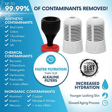 Load image into Gallery viewer, Seychelle Regular Replacement Filters - for Gen 2 Dual Water Pitcher
