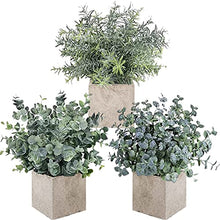 Load image into Gallery viewer, Auelife Artificial Plants 3PCS 9-10IN Mini Potted Plants, Fake Eucalyptus / Glossy Grass / Pale Grass Plants (Square Pot) Faux Lifelike Flower Greenery Decor for Home Office Farmhouse Bathroom
