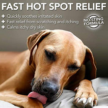 Load image into Gallery viewer, Vet’s Best Dog Hot Spot Itch Relief Spray | Relieves Dog Dry Skin, Rash, Scratching, Licking, Itchy Skin, and Hot Spots | No-Sting and Alcohol Free | 8 Ounces
