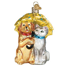 Load image into Gallery viewer, Old World Christmas Pet Lovers Glass Blown Ornaments for Christmas Tree Cats and Dogs
