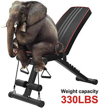 Load image into Gallery viewer, Yoleo Adjustable Weight Bench - Utility Weight Benches for Full Body Workout, Foldable Flat/Incline/Decline FID Bench Press for Home Gym
