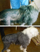 Load image into Gallery viewer, Davis 454g TheraCoat for Pets

