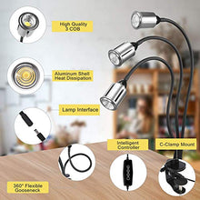 Load image into Gallery viewer, CWH&amp;WEN Plant Grow Light, Grow Lamp Full Spectrum with Auto ON &amp;Off Timer 3/9/12H for Indoor Plants, 3 Heads Grow Bulbs, USB+AC Adapter for Seedlings and Succulents
