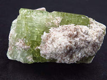 Load image into Gallery viewer, Green Tourmaline Crystal From Brazil - 0.9"
