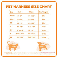 Load image into Gallery viewer, Voyager Step-in Air Dog Harness - All Weather Mesh Step in Vest Harness for Small and Medium Dogs by Best Pet Supplies - Pink (Matching Trim), XXS
