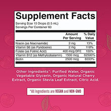 Load image into Gallery viewer, Vegan Vitamin B Complex Liquid by MaryRuth's | Hair Skin Nails Energy | Methyl B12 Folate Biotin Niacin Vitamin B3, 6, 7, 9, 12 | Tart Cherry Vitamin B Complex Supplement | 1 Fl Oz
