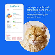 Load image into Gallery viewer, Basepaws Cat DNA Test | Breed + Health + Dental Report | Top Cat Breeds &amp; 115 Health &amp; Trait Markers | As Seen On Shark Tank
