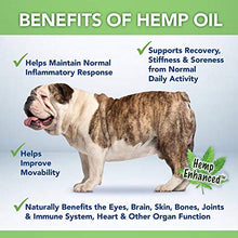 Load image into Gallery viewer, Grizzly All-Natural Joint Health for Dogs, 16 oz | Enhanced with Hemp Oil, Extra Strength Liquid Hip and Joint Support, Made in USA
