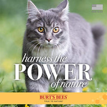 Load image into Gallery viewer, Burt's Bees for Pets Dander Reducing Spray with Colloidal Oat Flour &amp; Aloe Vera, 10 oz (FFP5807ST6)
