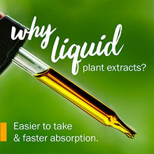 Load image into Gallery viewer, Herb Pharm Certified Organic Super Echinacea Liquid Extract for Active Immune System Support - 1 Ounce
