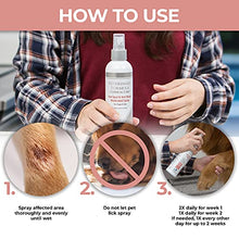 Load image into Gallery viewer, Veterinary Formula Clinical Care Hot Spot &amp; Itch Relief Medicated Spray 8 oz, White, (GI01340)
