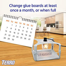 Load image into Gallery viewer, Terro T231 Flea Trap Refill, White
