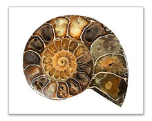 Load image into Gallery viewer, Crystal Quartz Geodes Prints - Set of 6 (8x10) Cluster Esoteric Abstract Wall Art Decor - Amethyst - Bismuth - Ammonite - Blue Agate - Labradorite - Natural Stone
