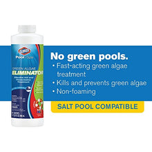 Load image into Gallery viewer, Clorox Pool&amp;Spa Green Algae Eliminator2 32 oz
