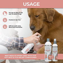 Load image into Gallery viewer, Veterinary Formula Clinical Care Hot Spot &amp; Itch Relief Medicated Spray 8 oz, White, (GI01340)
